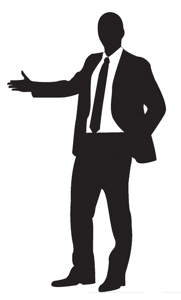 The Investor
